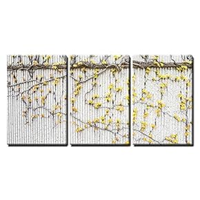 3 Piece Canvas Wall Art - Vines with Yellow Leaves on The Texture Wall - Modern Home Art Stretched and Framed Ready to Hang - 16"x24"x3 Panels