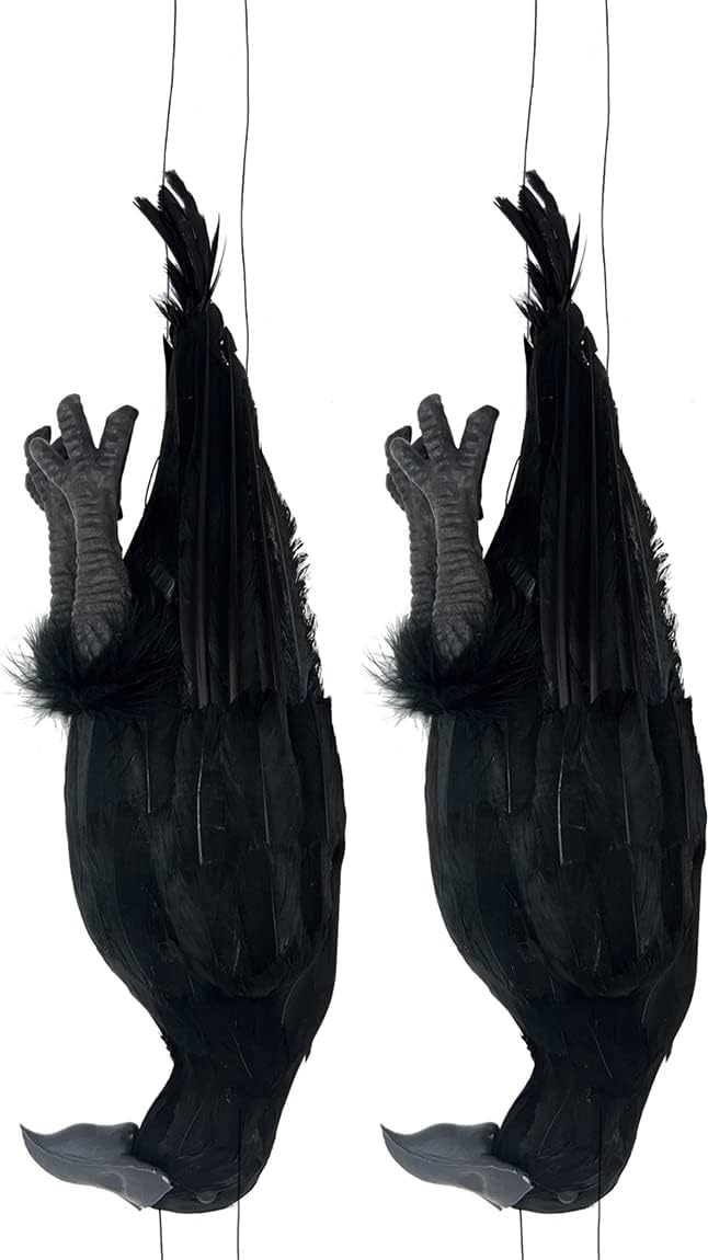 Holiday Décor Storage - Mootikar Get Rid of Crows，17 inch Realistic Dead Crows Decoy Lifesize Large Black Feathered Crow 2 Pack