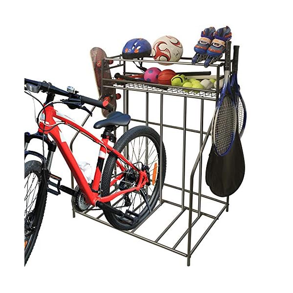 Garage Sports Organizers : Organize That Garage