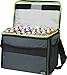 Arctic Zone Insulated Collapsible Travel Cooler Holds 12 Cans (4 Ice Packs Included)thumb 4