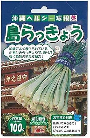 Amazon 球根 島らっきょう ラッキョウ 球根100g 予約販売8月頃入荷予定 球根