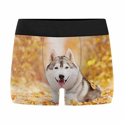 Expert choice for husky underwear