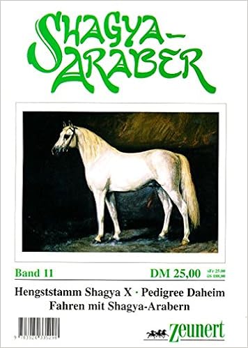 Shagya Araber Band 11 Amazonde Bã¼cher - 