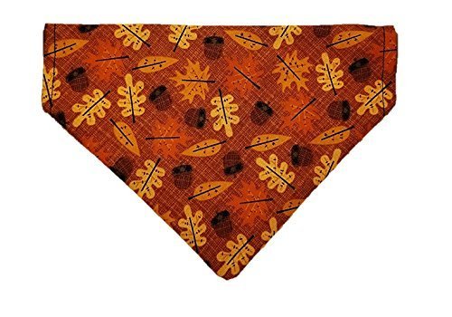 fall dog bandana