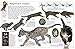 DK Eyewitness Books Cat: Explore the Fascinating Lives of Catsâ€”from Domesticated Breeds to Fearsome Felin