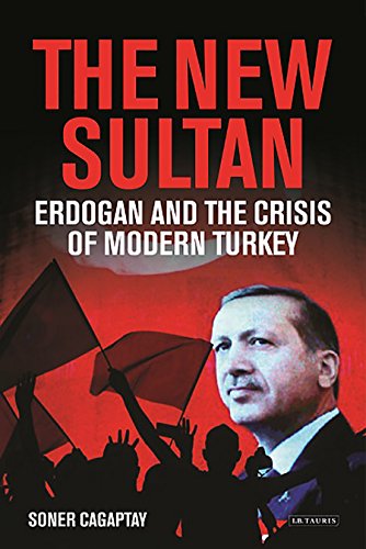 The New Sultan: Erdogan and the Crisis of Modern Turkey