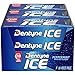 Dentyne Ice Sugar Free Gum (Peppermint  16 Piece  Pack of 9) primary