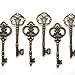 Salome Idea 20PCS Assorted Large Vintage Skeleton Keys (2 Styles) - 3 1/4