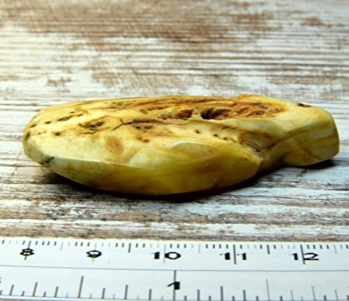 7.7 g Natural POLISHED Genuine Baltic Amber Stone Great for Making Brooch, Necklace, Pendant or Just Having It BBS247