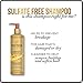 Pantene Gold Series Argan Oil from ProV for Natural and Curly Textured Hair, Sulfate Free Shampoo, 8.5 Fl Oz