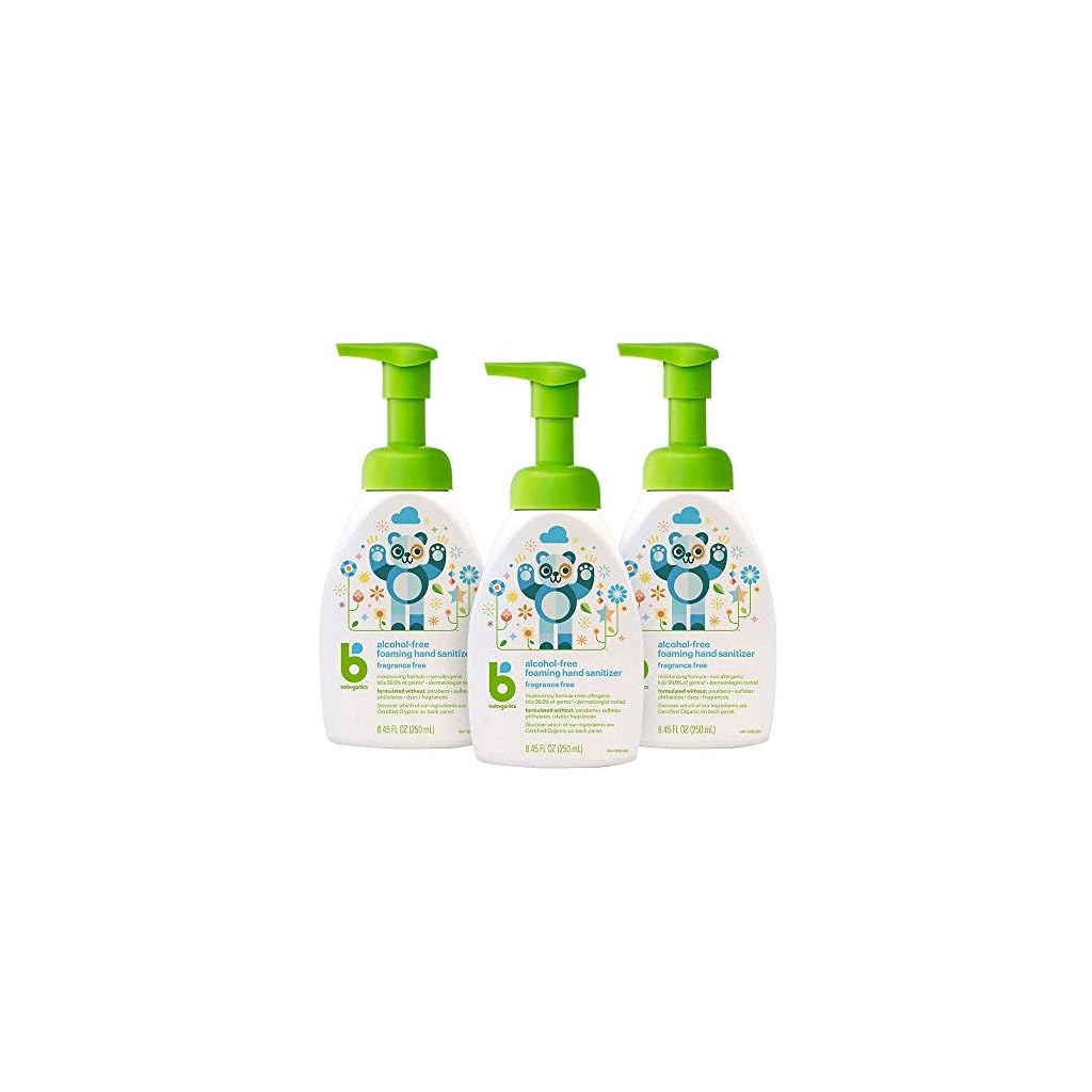 Babyganics Alcohol-Free Foaming Hand Sanitizer Review Babyganics Alcohol-Free Foaming Hand Sanitizer Review