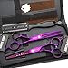6.0 Inches Hair Cutting Scissors Set with Combs Lether Scissors Case,Hair cutting shears Hair Thinning shears For Personal and Professional (Voilet)