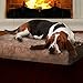 Memory Foam Dog Bed - 2-Layer Orthopedic Pet Pad with Machine Washable Cover - 37x24 Pet Bed for Large Dogs by PETMAKER (Tan)