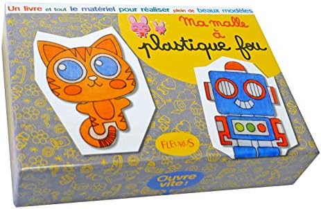 Ma malle à plastique fou (French) Paperback – 22 May 2014