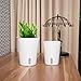 Vencer Self Watering Planter (3 Pack) Modern Decorative Planter Pot for All House Plants Flowers, Herbs,African Violets,Succulents,White,VF-066