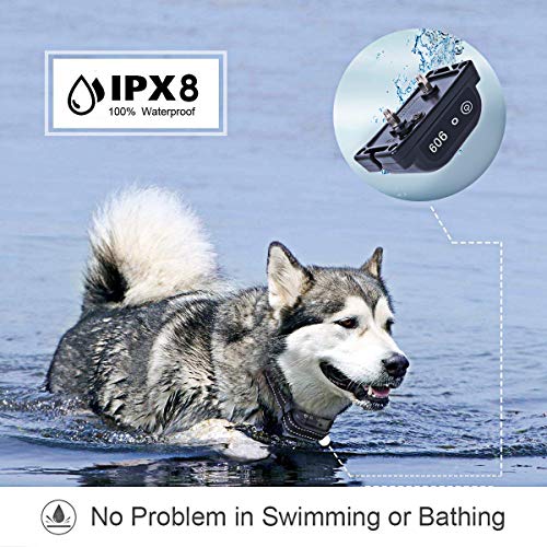 Wireless Dog Fence Electric Pet Containment System, In-Ground Dog Fence Design Underground Hidden Dog Fence, Waterproof Rechargeable Collar Easy Setup (2 Dog System) - Thumbnail 5