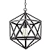 CLAXY Ecopower Industrial Edison Hanging Pendant 1 Light Large Size Art Deco Cage Lamp Guard