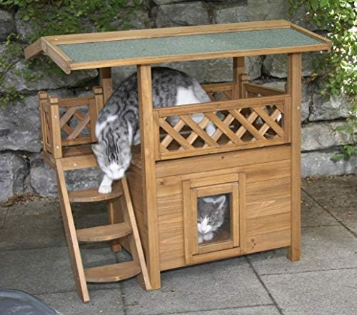 lilac olde english bulldogge puppies for sale near me