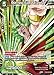 Relentless Super Saiyan Kale - TB01-015 - SR - The Tournament Of Power