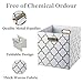 BAIST Cube Storage Bins,Fancy Foldable Canvas Decorative Gold Storage Cubes Bins Basket for Toys Clothes Books Large Square,4-Pack