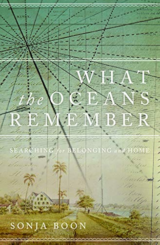 Download What the Oceans Remember: Searching for Belonging and Home (Life Writing) (English Edition) PDF