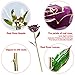 DEFAITH 24K Gold Dipped Rose Gifts, Best Wedding Anniversary Valentines Day Love Gift for Her Wife Girlfriend Spouse, Purple with Stand