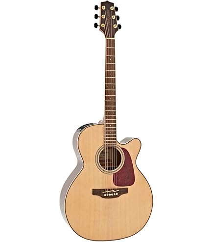 TAKAMINE アコースティックギター スプルースボディ 6弦 Amazon.com: Takamine 6 String Acoustic-Electric Guitar
