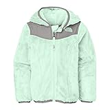 The North Face Oso Hoodie Toddler
