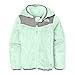 The North Face Oso Hoodie Toddler