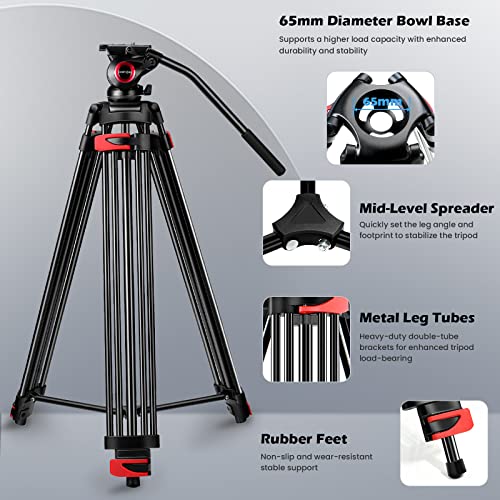 80" /203cm Video Tripod Heavy Duty Tripod with 360° Fluid Head,Mactrem Aluminum Tall Tripods