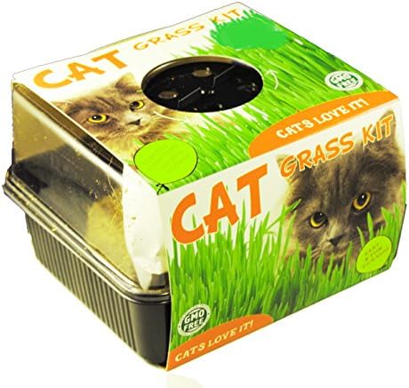 Square Cat Grass Kit