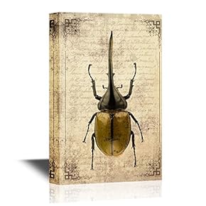 Insects Artwork Series Canvas Wall Art - Dynastes Hercules on Vintage Letter Paper - Gallery Wrap Modern Home Art | Ready to Hang - 12x18 inches