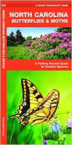 North Carolina Butterflies Amp Moths A Folding Pocket Guide