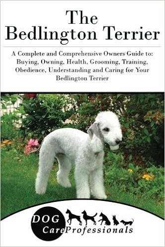 bedlington terrier grooming guide