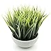 Velener Farmhouse Fake Grass Artificial Plants for Home Decor Indoor Tabletop Plant Book Shelf Small Desk Office