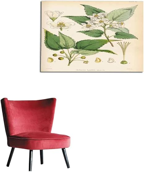 Amazon ホームホット 写真 壁紙 ヒップスター イラスト オオカミ パープルシャツ 野生動物の肖像画 X 16インチ 36 X32 ウォールステッカー オンライン通販