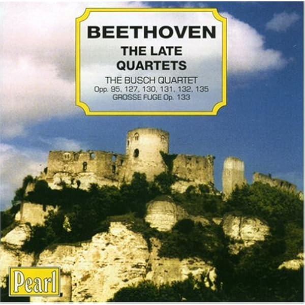 Adolf Busch - The Complete Warner Recordings (16CD) - Amazon.com Music