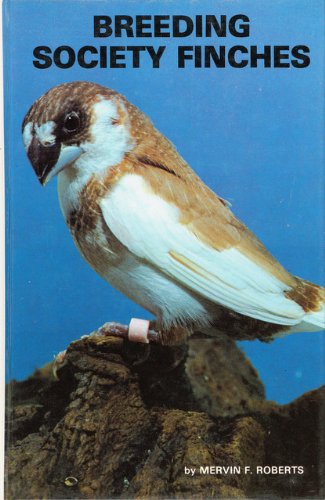 breeding society finches in captivity