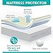 Milliard Premium Terry Hypoallergenic 100-Percent Waterproof Mattress Protector, Twin