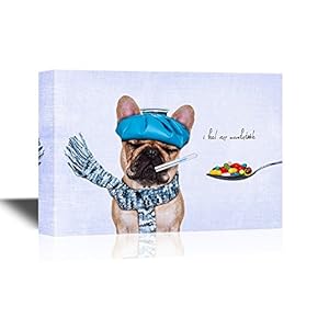 Vet Canvas Wall Art - Sick Dog and a Spoon of Colorful Pills - Gallery Wrap Modern Home Art | Ready to Hang - 12x18 inches