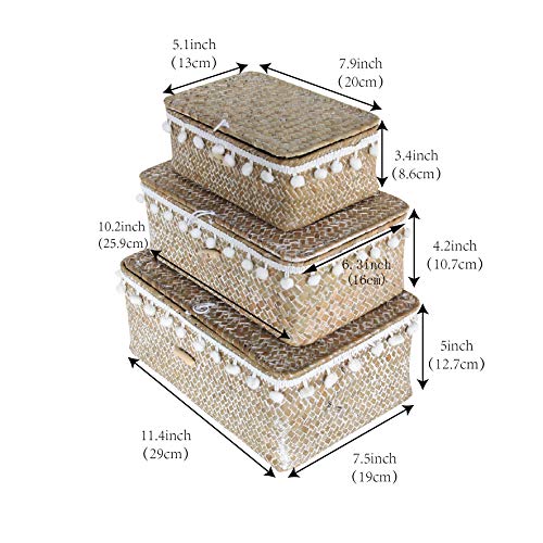 Storage Baskets with Lids, Set of 3 Natural Grass Storage Bins with Pom