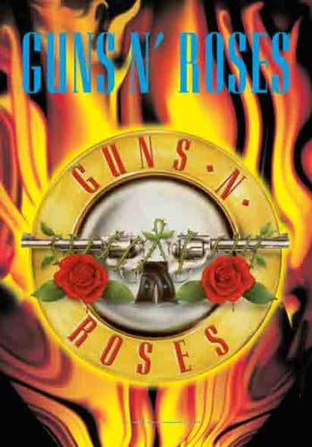 Guns N Roses Circle Flames Fabric Poster Print, 30 by 40-Inch
