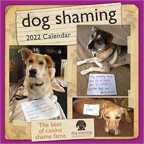10 Best Funny Wall Calendars Of 2022 smartlistz