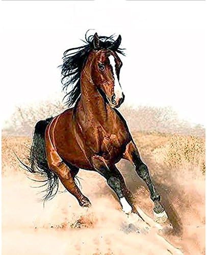 Wivilly Children's DIY Oil Painting By Numbers Kits,War Horse 12 X 16 inch,Acrylic Colorful Drawing Educational Toys for Kids to Draw on Canvas