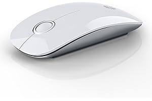 RAPIQUE Bluetooth Wireless Mouse - (BT5.1+USB) Slim Dual Mode Computer Mice with Quiet Click, Low Power, and 1600 DPI, Portable Cordless for MacBook, Laptop, iPad Pro/Air, Chromebook (White)