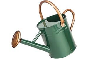 Megawodar Metal Watering Can with Removable Spout, Galvanized Steel Plants Water Can for Women, Men and Kids' Outdoor or Indoor Gardening - Nice Flower Metal Watering Pot Gift & Decoration