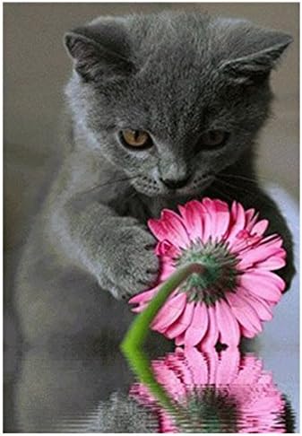 Printing DIY Diamond Painting Flower Full Area Square Resin Stick Paste Home Decor Wall Decorative Painting Cat and Flower-30x40cm/11.81*15.74inch