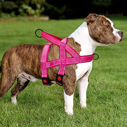 escape proof dog leash