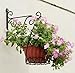 Huouo Set of 2 Iron Wall Hooks for Planters, Bird Feeders, Lanterns, Wind Chimes 10