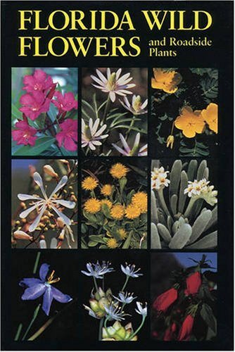 Florida Wild Flowers and Roadside Plants
